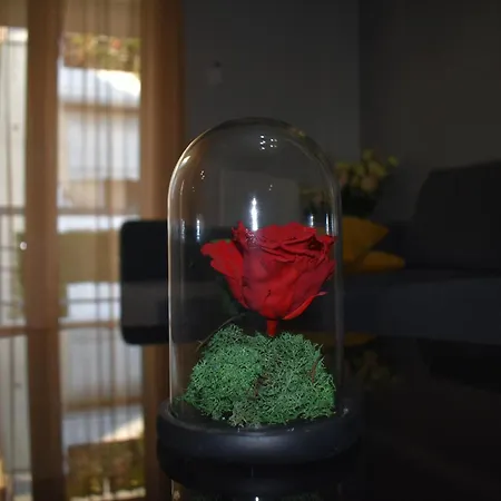 Cozy Project Kaisariani *